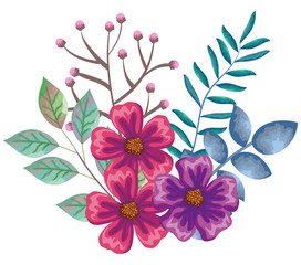 Poster - beautiful flowers and leafs decoration vector illustration design