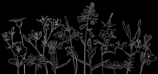 vector drawing flowers