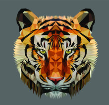 Low Poly Triangular Tiger Head On Dark Background, Vector Illustration EPS 10 Isolated.  Polygonal Style Trendy Modern Logo Design. Suitable For Printing On A T-shirt.