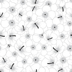 Naklejka na meble Hibiscus syriacus Outline - Rose of Sharon Seamless Background