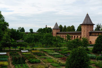 Wall Mural - Monastery of Saint Euthymius. Suzdal