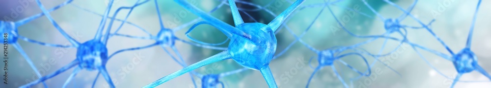 neuron, neural network, nerve node, nervous system, 3D rendering
 - obrazy, fototapety, plakaty 