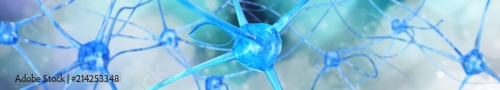 Fotografía neuron, neural network, nerve node, nervous system, 3D rendering
