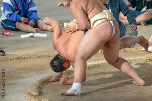 Obrazy Sumo  uczen-sumo