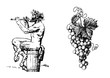 Satyr on the barrel 0f wine playing the flute and bunch of grapes. Vector
