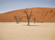 Death Vlei Sossusvlei Namibia