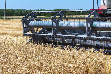 Harvester machine to harvest wheat field working. Combine harvester agriculture machine harvesting golden ripe wheat field. Agriculture