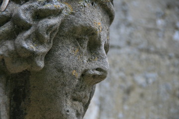 Wall Mural - Stone Face