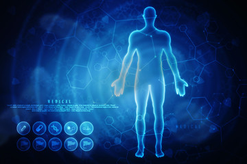 2d illustration human male muscle body
