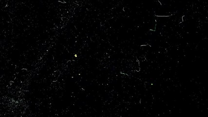 Poster - Dust cloud explosion from below. Floating organic dust particles shimmering on a black background. Particles swirling randomly as if blown by wind Particles moving quickly through space, each particle