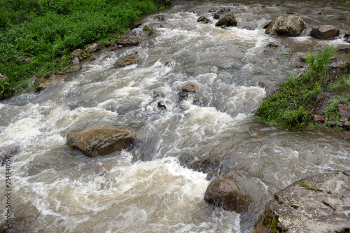 Fotografia, Obraz Cloudy turbulent water. Mountain stream after rain.