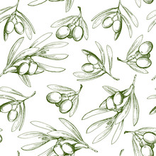 Seamless Pattern With Olive Branch. Drawn By Hand