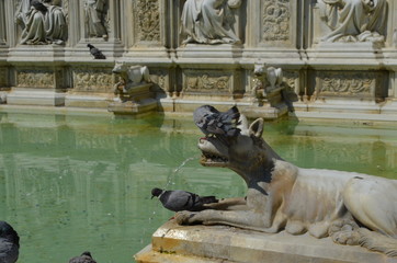 Poster - statue sculpture fountane Siena Italy marble dog pigeon