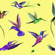 Seamless watercolor pattern from multi-colored hummingbirds on a yellow background.
