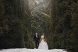 © sonyachny - gorgeous wedding couple posing in winter snowy park. stylish bride in coat and  groom embracing under green trees in winter forest. romantic sensual moment of newlyweds
