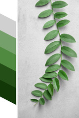 Sticker - Palette with green color and branch on grey background