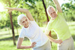 © zinkevych - Energetic people. Usual morning exercises of two energetic enthusiastic happy pensioners