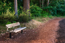 Wood And Metal Park Bench Along A Curved Walking Trail With Trees And Bushes In The Background
