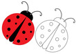 Ladybug. Coloring page, game for kids. Vector illustration.