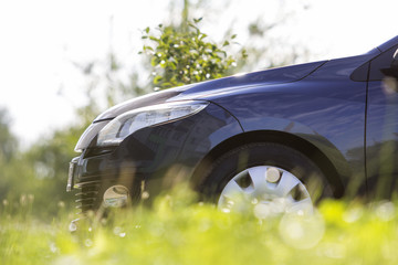 Close-up detail front of modern new shiny empty black car parked outside road in high grass on bright summer sunny day on blurred green trees background. Transport, pollution and ecology concept.