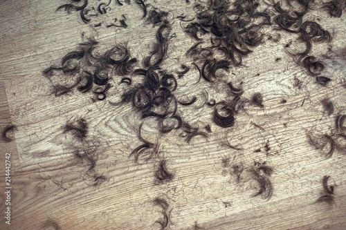 pics Cut Hair On Floor https stock adobe com images cut hair on the floor in a barber salon 214442742 start checkout 1 content id 214442742