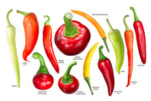 Hungarian Paprika Peppers, Paths