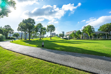green lawn with city skyline in the park