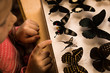Little Girl Researching Entomology Collection of Tropical Butterflies