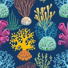 Seaweeds colorful background. Underwater sea plants seamless pattern, marine weeds life texture vector illustration