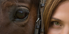 Horse Muzzle And Woman's Face Close-up With Expressive Eyes