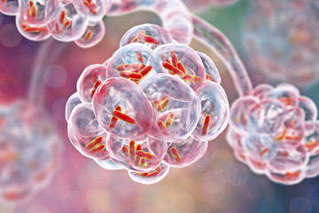 Wall Mural - Bacteria pneumonia, medical concept. 3D illustration showing rod-shaped bacteria inside alveoli