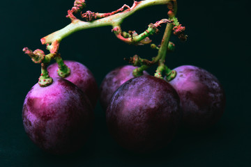 Wall Mural - Dramatic grape on black