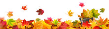 Autumn Leaves Background Tendril