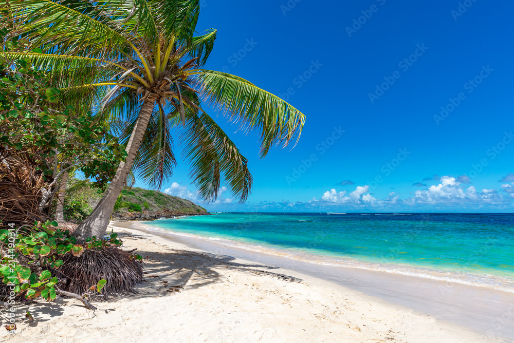 View of nice tropical beach with palm tree. Holiday and vacation concept. - obrazy, fototapety, plakaty 
