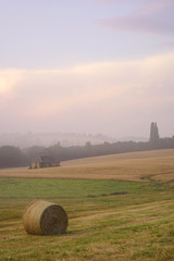 Wall Mural - Paysage Campagne 319