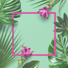 Colorful Creative Tropical Layout With Exotic Plants As A Border, Monstera, Palm Leaves And Pink Turmeric Flowers On A Turquoise Background - Copyspace, Matte Overlay