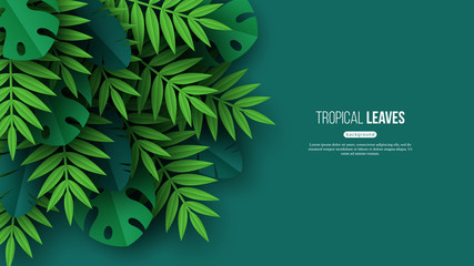 exotic jungle tropical palm leaves. summer floral design with green color background. vector illustr