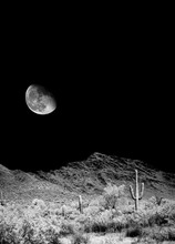 Arizona Sonora Desert Moon In Infrared Monochrome