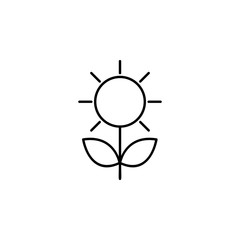 Poster - plant sun icon. Element of sturt up icon for mobile concept and web apps. Thin line plant sun icon can be used for web and mobile