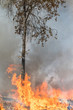 Leinwandbild Motiv Firefighters Fighting Wildfire California