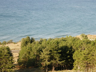 view of the sea from a mountain covered with forest