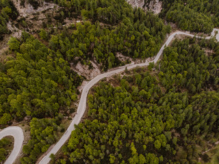 Poster - Alpine road in forest , aerial drone view