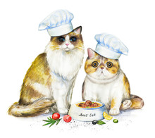 Composition With Two Cats In Chef's Caps, Bowl With Food And Vegetables. Watercolor Pencils Illustration Isolated On White Background