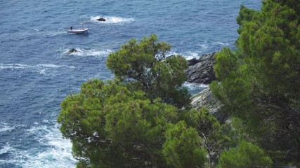Fototapete - Coast landscape of Cap Roig in Costa Brava, Spain.