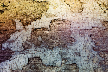 Wall Mural - Grunge cement wall background