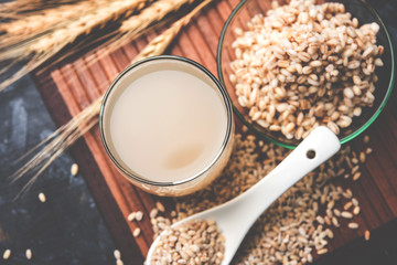 Canvas Print - Barley water in glass with raw and cooked pearl barley wheat/seeds. selective focus