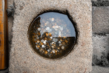 Small Well With Coins