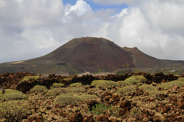 Canarian landscape