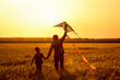 © Pixel-Shot - Happy father and son flying kite in the field at sunset