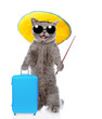 Happy cat in summer hat and with sunglasses holds suitcase and pointing away. isolated on white background